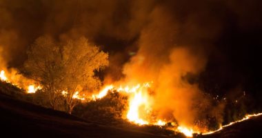 إجلاء آلاف المواطنين من منازلهم بسبب حرائق الغابات بشرق كوريا الجنوبية