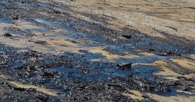 وزارة البيئة: جاري التعامل مع تلوث زيتى على شاطئ نادى التجديف بالسويس