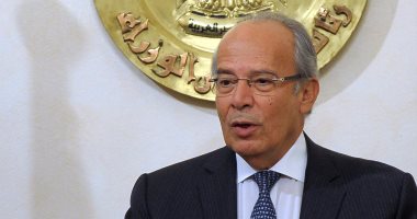 وزير التنمية المحلية: نسعى لتحويل كل قرية فى مصر من مستهلكة إلى منتجة