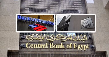 وكالة فيتش:مصر تستعيد توازنها بنمو الاحتياطى الأجنبى وارتفاع قيمة الجنيه 
