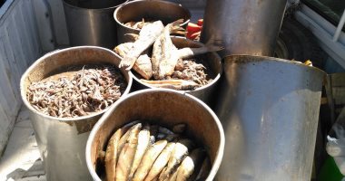 صحة أسوان تضبط 4 أطنان أسماك فاسدة قبل ترويجها بالأسواق فى شم النسيم