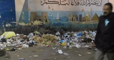 استجابة لـ"صحافة المواطن".. الوحدة المحلية بأسوان تزيل القمامة بشارع المطار