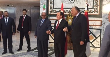 سامح شكرى من تونس: نرفض التدخل الخارجى بليبيا ولا بديل عن حل سياسى شامل 