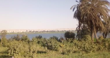 بالصور.. التعديات على النيل بالمنيا قنبلة موقوتة.. والمحافظ: لا نتهاون