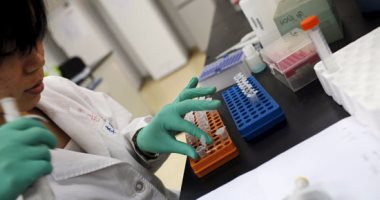"صحة الإسكندرية" تجرى تحاليل طبية لـ 8055 مواطنا للكشف عن فيروس سى