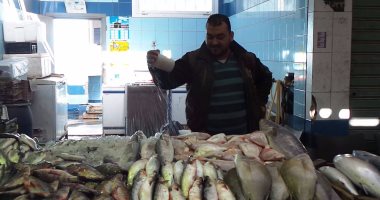 تجار الأسماك بالسويس يخاطبون مجلس الوزراء لوقف قرار تصدير "سمك الخليج"