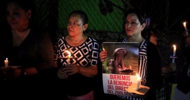 بالصور.. مظاهرات فى السلفادور احتجاجا على مقتل فرس نهر