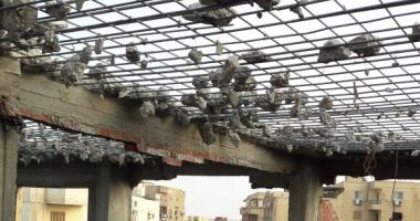 محافظة الجيزة: تنفيذ 40 قرار إزالة لمبانٍ مخالفة بهضبة الأهرام