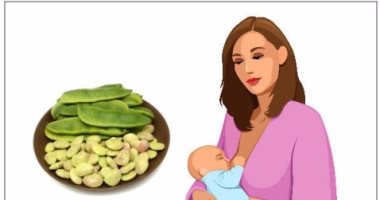 للمرأة.. 3 فوائد صحية تتمتعين بها بعد تناول الفول الأخضر أثناء الرضاعة