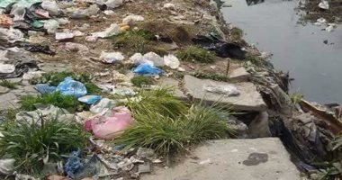 القمامة وورد النيل يحاصران ترعة المحمودية بالإسكندرية