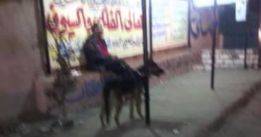 شكوى من تهديد المواطنين بالكلاب فى "زهراء السيوف" بالإسكندرية