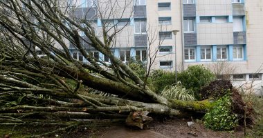انقطاع الكهرباء عن 180 ألف منزل شمال غربى فرنسا بسبب عاصفة قوية