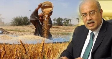 شريف إسماعيل يبحث مع الوزراء المعنيين آليات وضوابط توريد القمح غدا