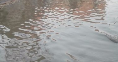 بالصور.. مياه الصرف الصحى تغرق طريق "المنية" بالقليوبية