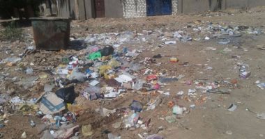 بالفيديو والصور.. القمامة تملأ شوارع "الخارجة" بمحافظة الوادى الجديد
