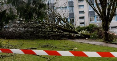 عاصفة "كيران" تسببت فى انقطاع الكهرباء عن 1.2 مليون منزل شمال غرب فرنسا