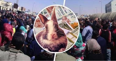 الأموال العامة :مستريح الأرانب نصب على 1800 شخص وجمع 25 مليون جنيه