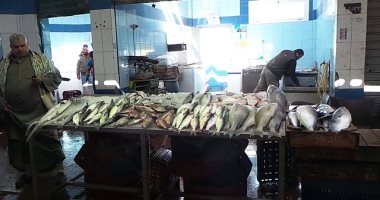 بالفيديو والصور .. ارتفاع جنونى فى أسعار الأسماك فى القاهرة والسويس