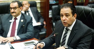"برلمانية المصريين الأحرار": نوافق على بقاء المادة 5 من قانون العلاوة