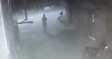 بالفيديو .. كلب مسعورة يهاجم مواطن بكفر البطيخ بدمياط