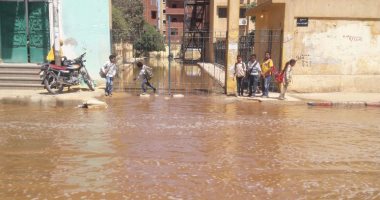 بالصور.. مياه الصرف الصحى تغرق شارع كلية التربية فى أسوان