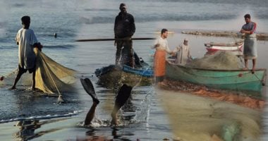 نقيب الصيادين: حظر الصيد ببحيرة ناصر شهرين يضاعف أسعار الأسماك 