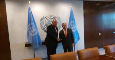 سكرتير عام الأمم المتحدة يؤكد لشكرى محورية دور مصر في مكافحة الإرهاب 
