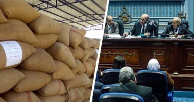 النائب محمود شعلان يطالب وزير الزراعة بإعلان خطته لتقليل الفجوة الغذائية أمام البرلمان