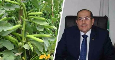 وزير الزراعة: إعادة تشكيل لجنة التصرف فى أراضى "وقف حميدة خلاف" بالاسكندرية