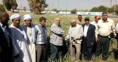 بالصور..لجنة من وزارة الزراعة ترصد تطورات وارتفاع إنتاج القمح بأسوان