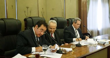 بالصور.. "تشريعية النواب" ترفض طلب رفع الحصانة عن غادة صقر 