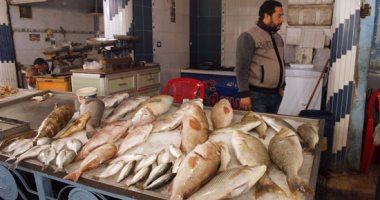 أسعار السمك اليوم السبت 23-2-2019 بسوق العبور