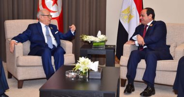 السيسي يؤكد لـ"السبسى" دعم مصر لتونس فى مواجهة الإرهاب