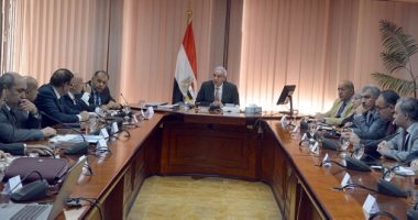 تفاصيل خطة المجالس التصديرية لزيادة صادرات مصر إلى 34 مليار دولار فى2020