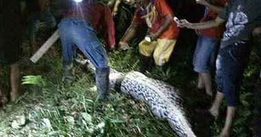 العثور على جثة مزارع مفقود فى إندونيسيا داخل ثعبان