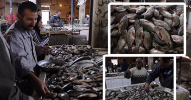 بالفيديو والصور.. حملات مقاطعة الأسماك تصيب أسواق الإسماعيلية بالركود