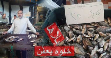 التموين تحاصر تجار الأسماك الجشعين وعشرات المخالفات لعدم إعلان الأسعار
