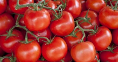 روسيا وتركيا تتفقان على توريد 50 ألف طن من الطماطم التركية للسوق الروسية