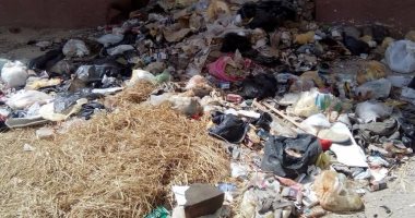 بالفيديو..القمامة والحشرات تحاصران مكتب صحة المعادى