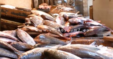 شن حملات مكثفة على أسواق الأسماك المملحة قبل أعياد شم النسيم