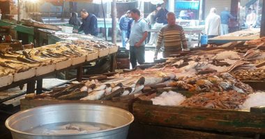 الغرفة التجارية: فرض رسم صادر على الأسماك سيؤدى لتراجع الأسعار قبل "رمضان"