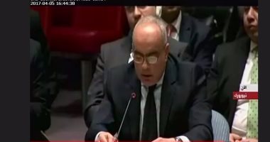 مندوب مصر بمجلس الأمن: يصعب علينا أن تمر الجرائم فى سوريا مرور الكرام