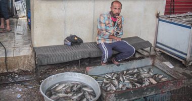  ركود حركة البيع فى أسواق السمك بعد حملة "بلاها سمك خلوه يعفن"