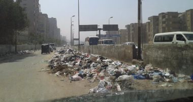 بالصور.. شكاوى من القمامة فى الشوارع الموازية لمحور عرابى