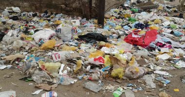 بالفيديو والصور.. أكوام القمامة تنتشر داخل مدينة أسوان