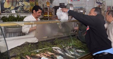 "الزراعة" تؤكد استمرار ضخ الأسماك بمنافذ التموين.. وطرح 22 طنا يوميا