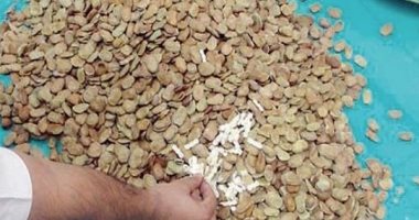 ضبط 55 طن فول تدميس يحوى حشرات بمستودع السلع الغذائية ببورسعيد