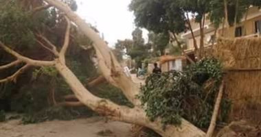 بالصور.. قارئ يرصد الخسائر المادية بسبب عاصفة الخميس فى سوهاج