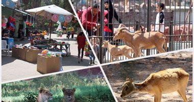 الزراعة: عروض بالمتحف الحيوانى بالجيزة لزوار شم النسيم