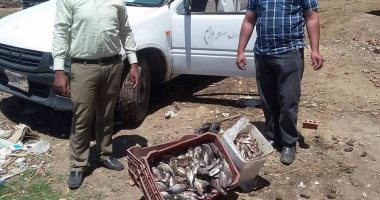 ضبط 290 كيلو أسماك غير صالحة للاستهلاك الآدمى بسوهاج